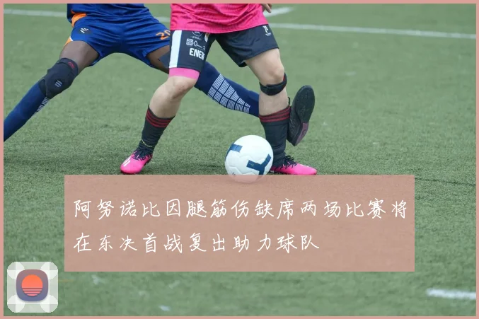 阿努诺比因腿筋伤缺席两场比赛将在东决首战复出助力球队