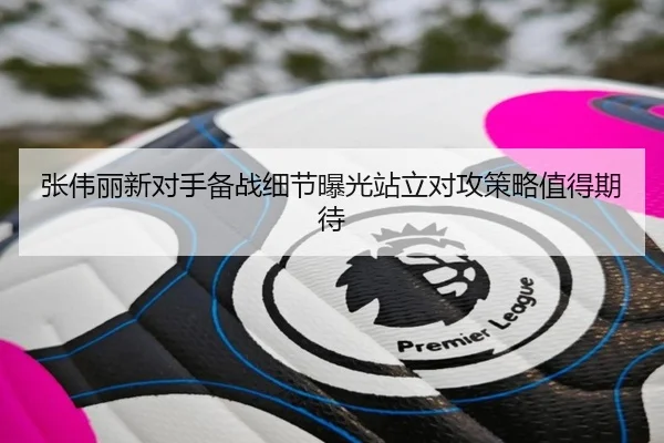 张伟丽新对手备战细节曝光站立对攻策略值得期待